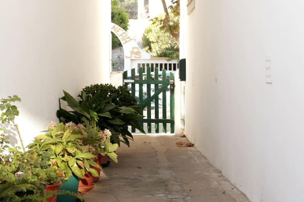 The Green Gate Patio House Apartment Nazare Exterior photo